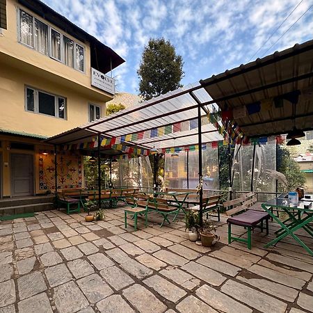 Eevolve Dharamkot - An Eco Hostel McLeod Ganj Dış mekan fotoğraf