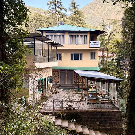 Eevolve Dharamkot - An Eco Hostel McLeod Ganj Dış mekan fotoğraf