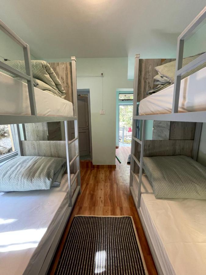 Eevolve Dharamkot - An Eco Hostel McLeod Ganj Dış mekan fotoğraf