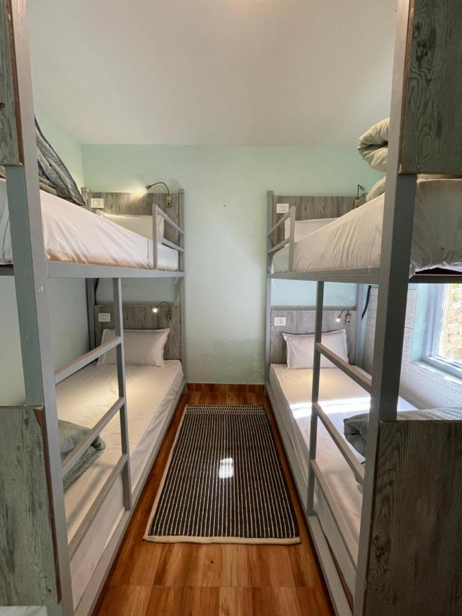 Eevolve Dharamkot - An Eco Hostel McLeod Ganj Dış mekan fotoğraf