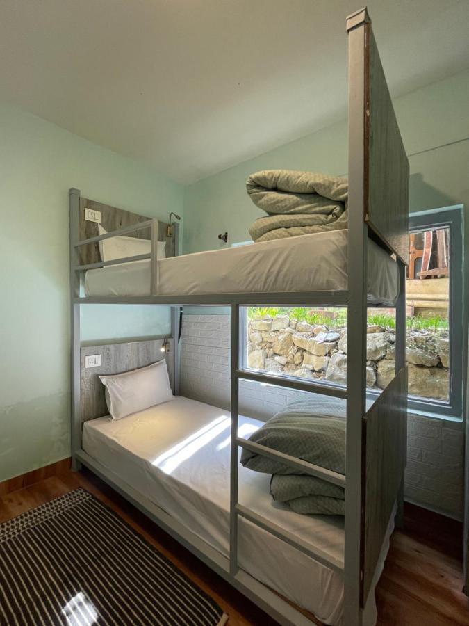 Eevolve Dharamkot - An Eco Hostel McLeod Ganj Dış mekan fotoğraf