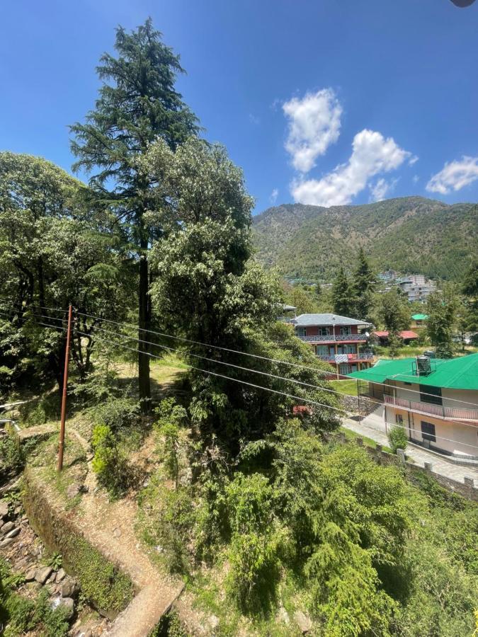 Eevolve Dharamkot - An Eco Hostel McLeod Ganj Dış mekan fotoğraf