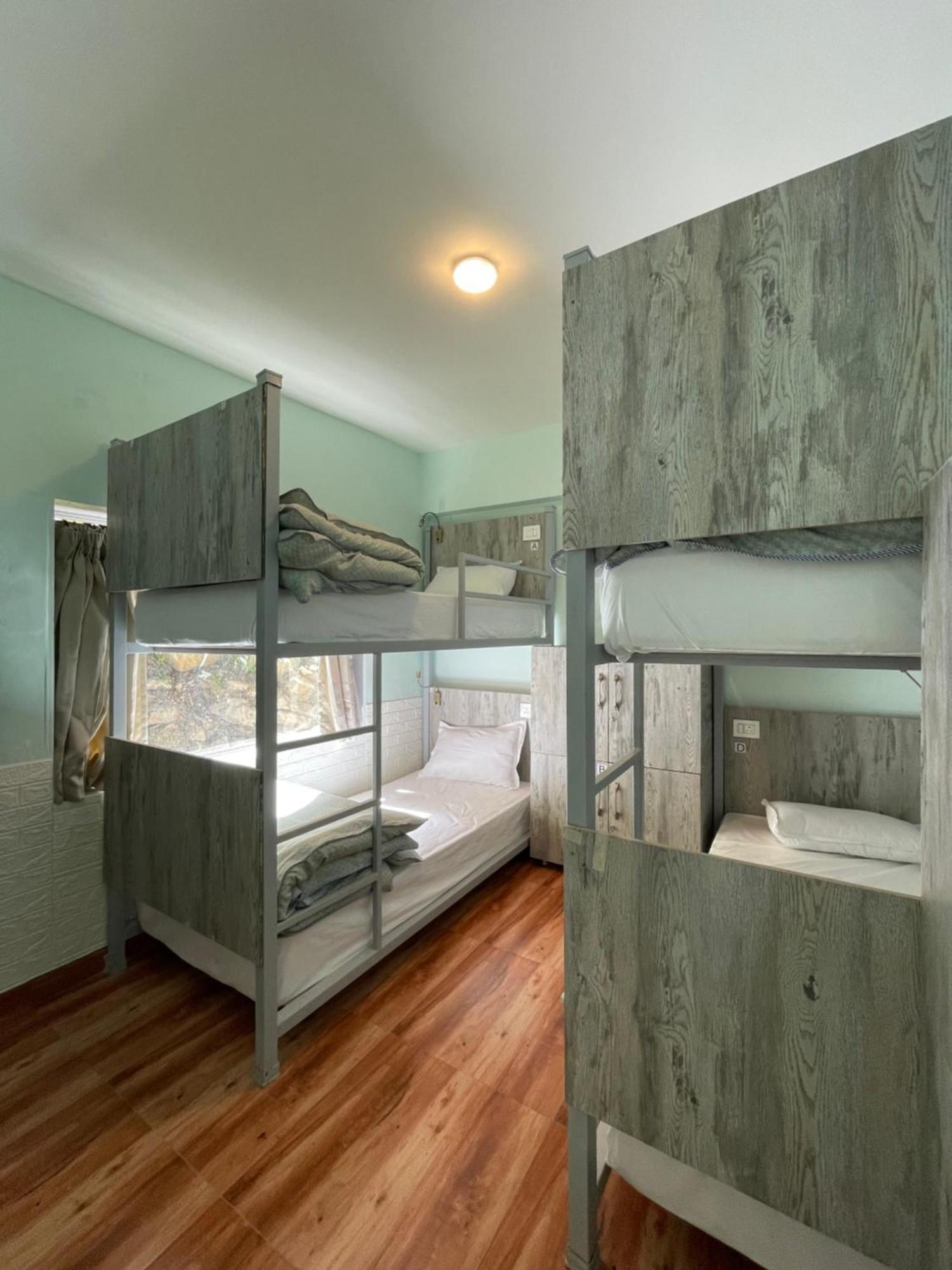 Eevolve Dharamkot - An Eco Hostel McLeod Ganj Dış mekan fotoğraf