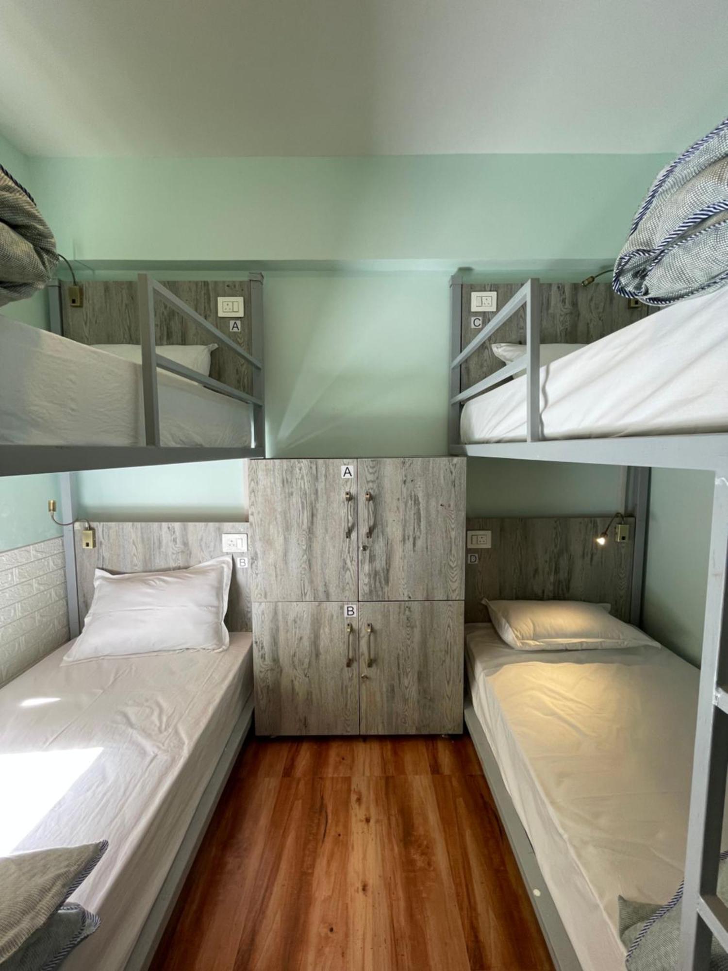 Eevolve Dharamkot - An Eco Hostel McLeod Ganj Dış mekan fotoğraf