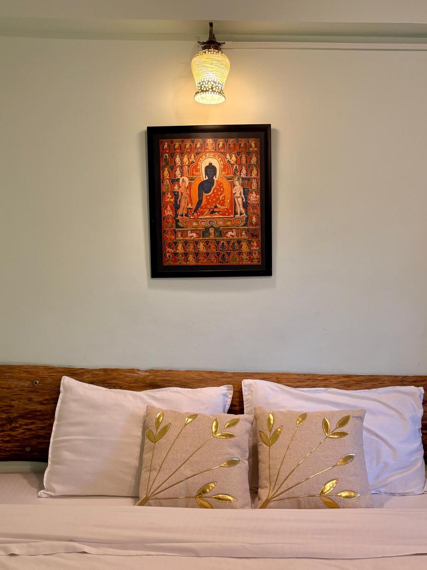 Eevolve Dharamkot - An Eco Hostel McLeod Ganj Dış mekan fotoğraf