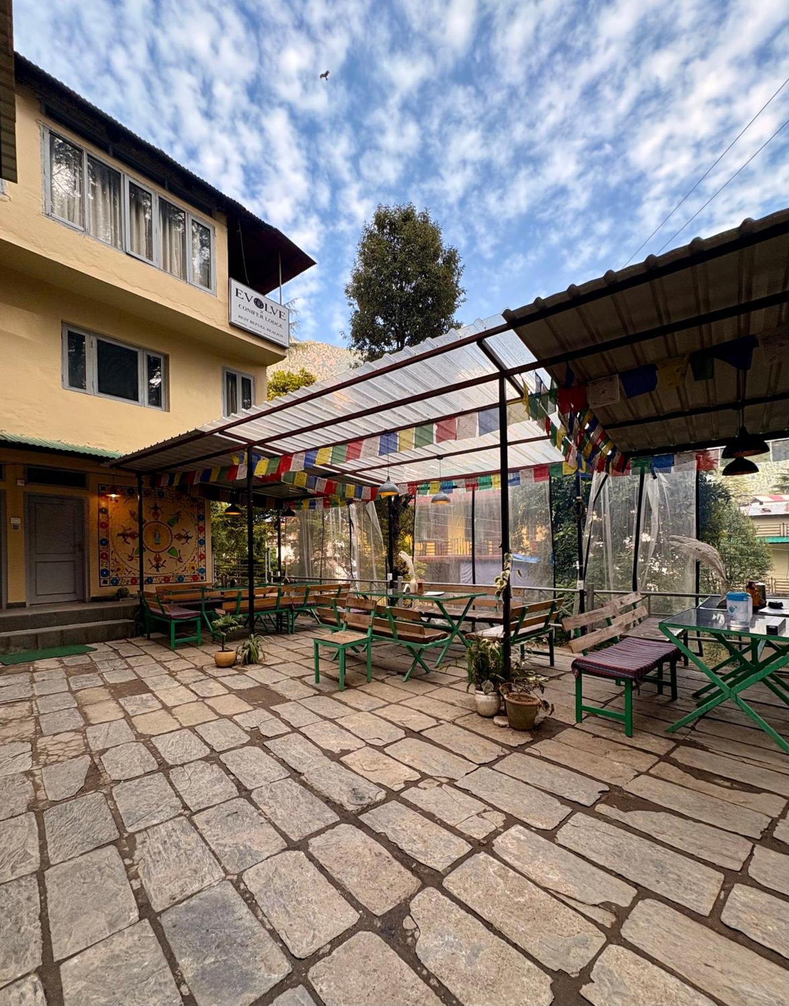Eevolve Dharamkot - An Eco Hostel McLeod Ganj Dış mekan fotoğraf